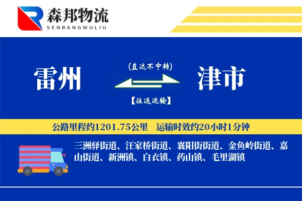 雷州到津市物流公司