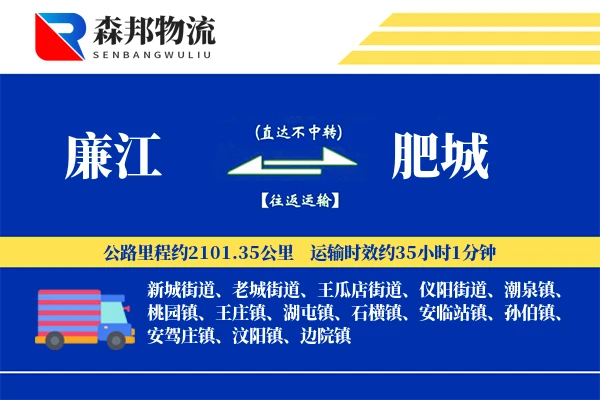 廉江到肥城物流公司