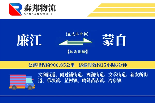 廉江到蒙自物流公司