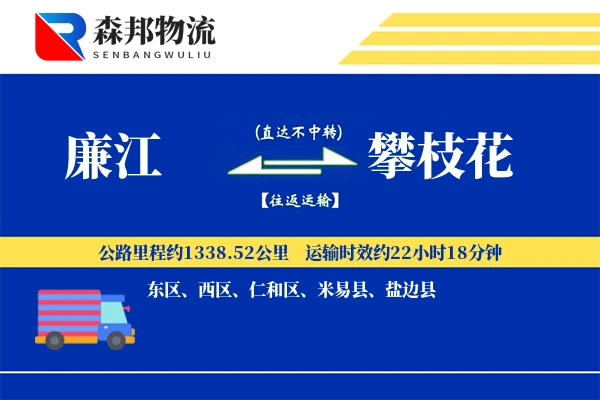 廉江到攀枝花物流公司