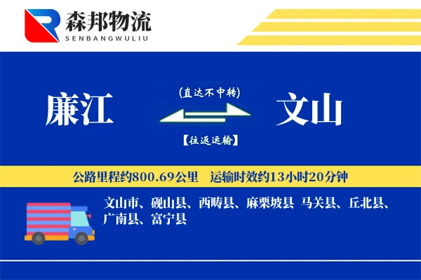 廉江到文山物流公司