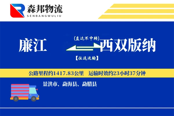 廉江到西双版纳物流公司