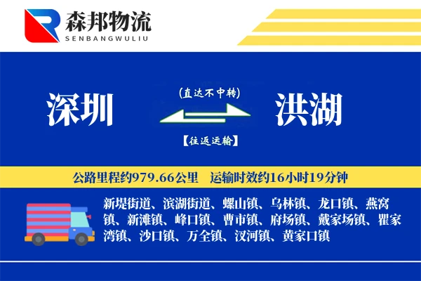 深圳到洪湖物流公司