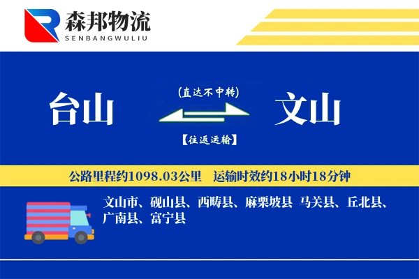 台山到文山物流公司