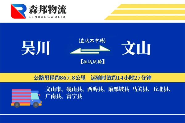 吴川到文山物流公司